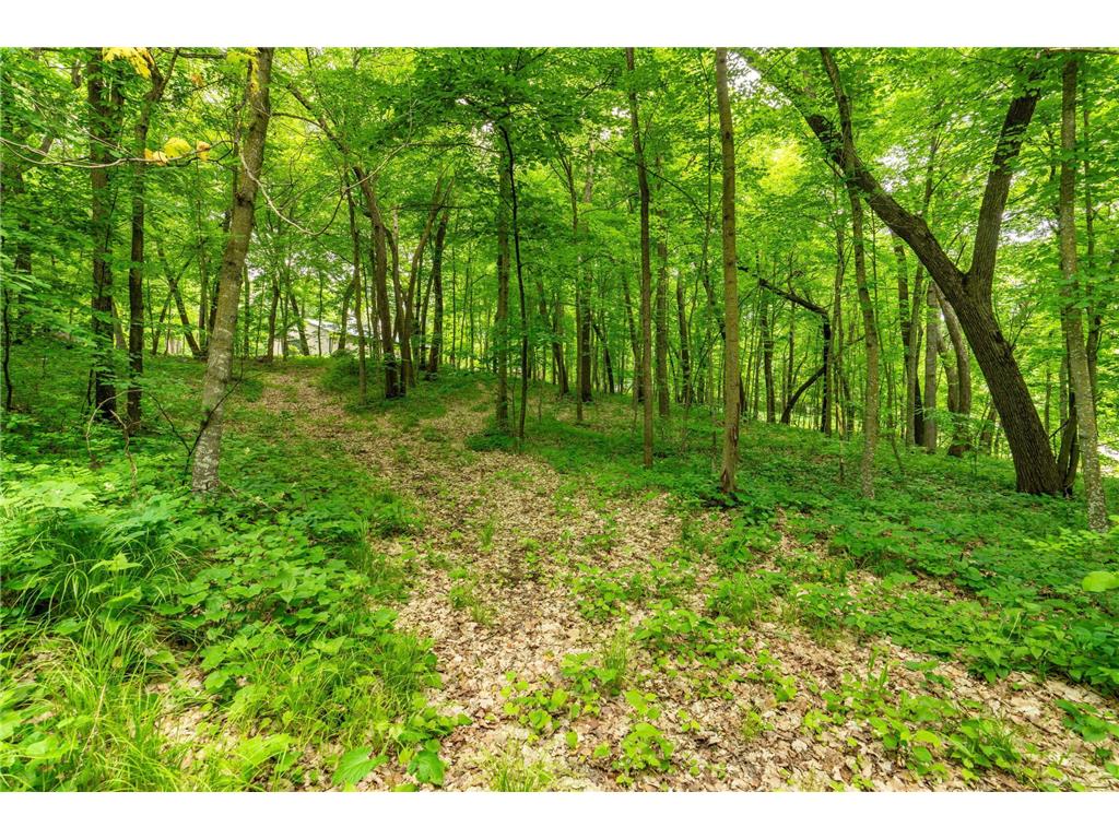 22054 Nirvana Trail Vining MN 56588 - East Battle Lake 6734303 image26