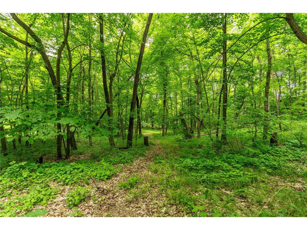 22054 Nirvana Trail Vining MN 56588 - East Battle Lake 6734303 image27