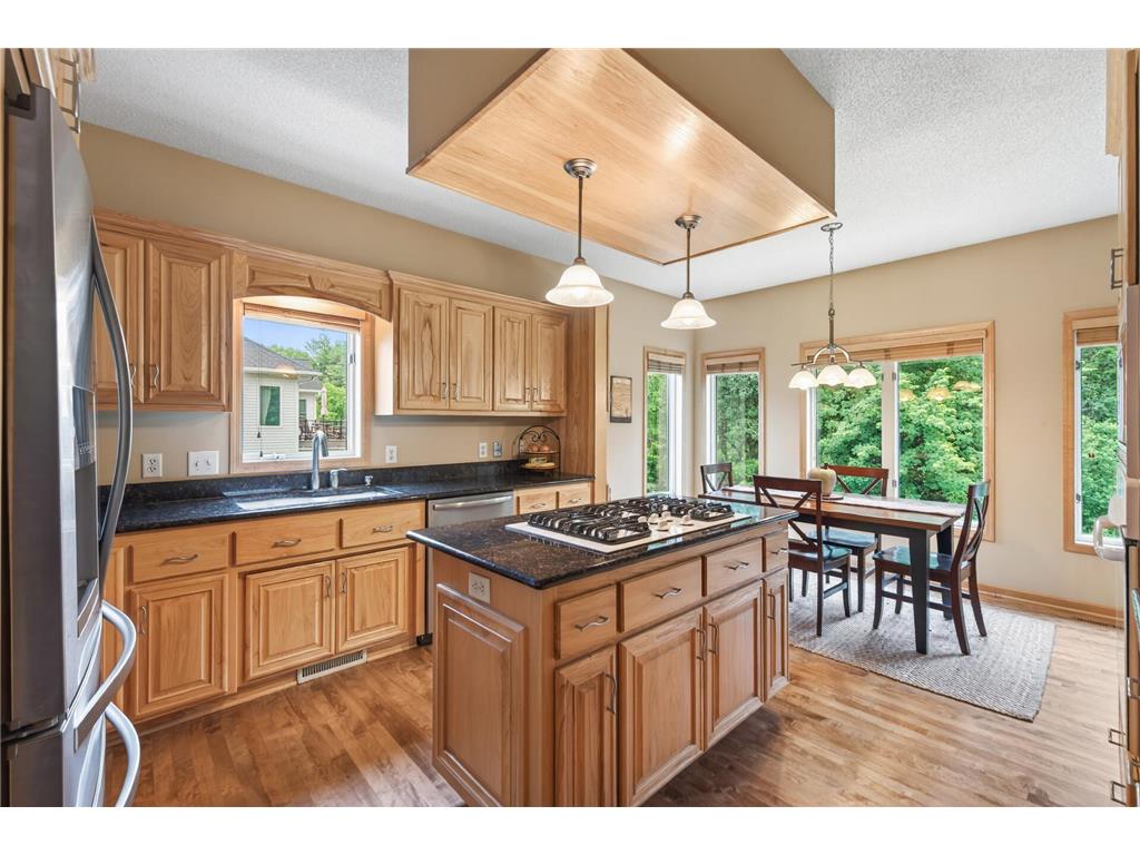 2206 129th Court NE Blaine MN 55449 6816009 image15