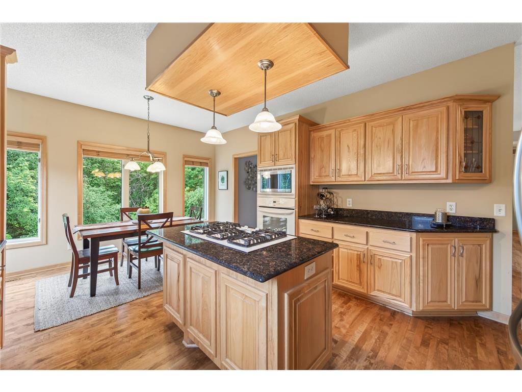 2206 129th Court NE Blaine MN 55449 6816009 image17