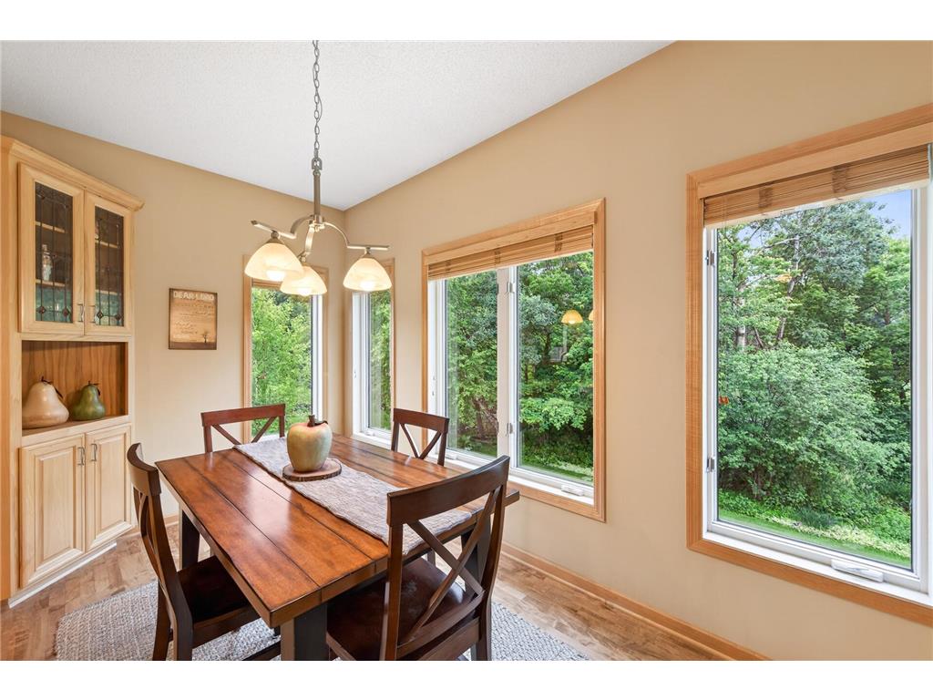 2206 129th Court NE Blaine MN 55449 6816009 image22