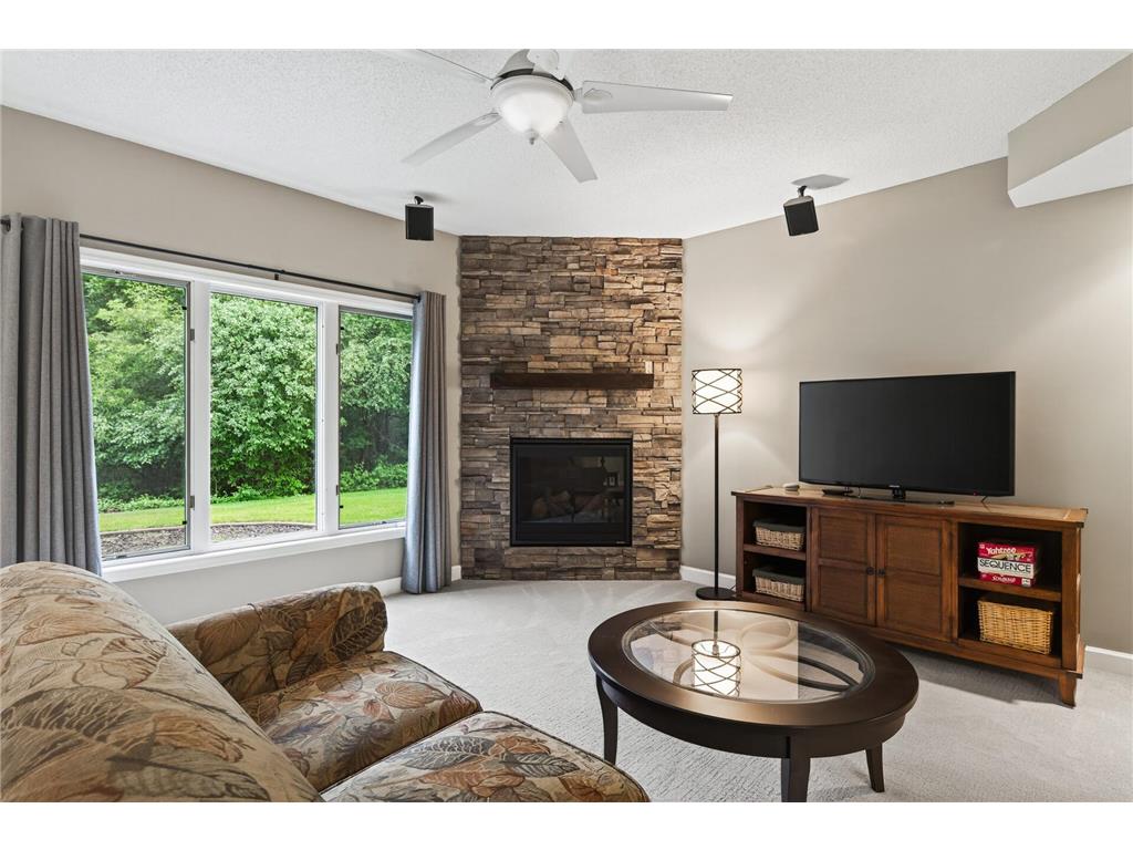 2206 129th Court NE Blaine MN 55449 6816009 image30