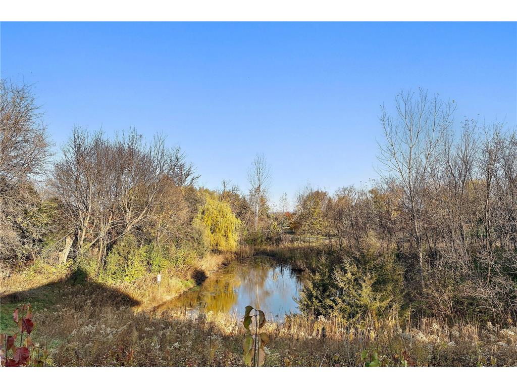 2206 Paris Avenue N Stillwater MN 55082 6803336 image52