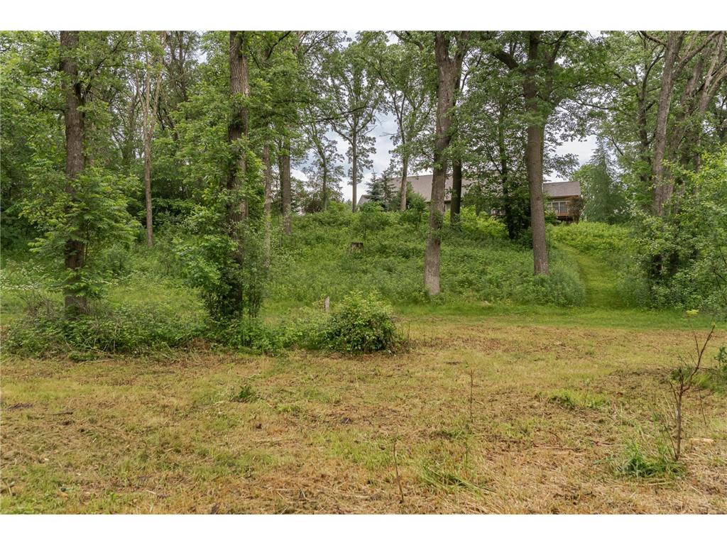 22061 606th Street Mantorville Twp MN 55927 7081065 image60
