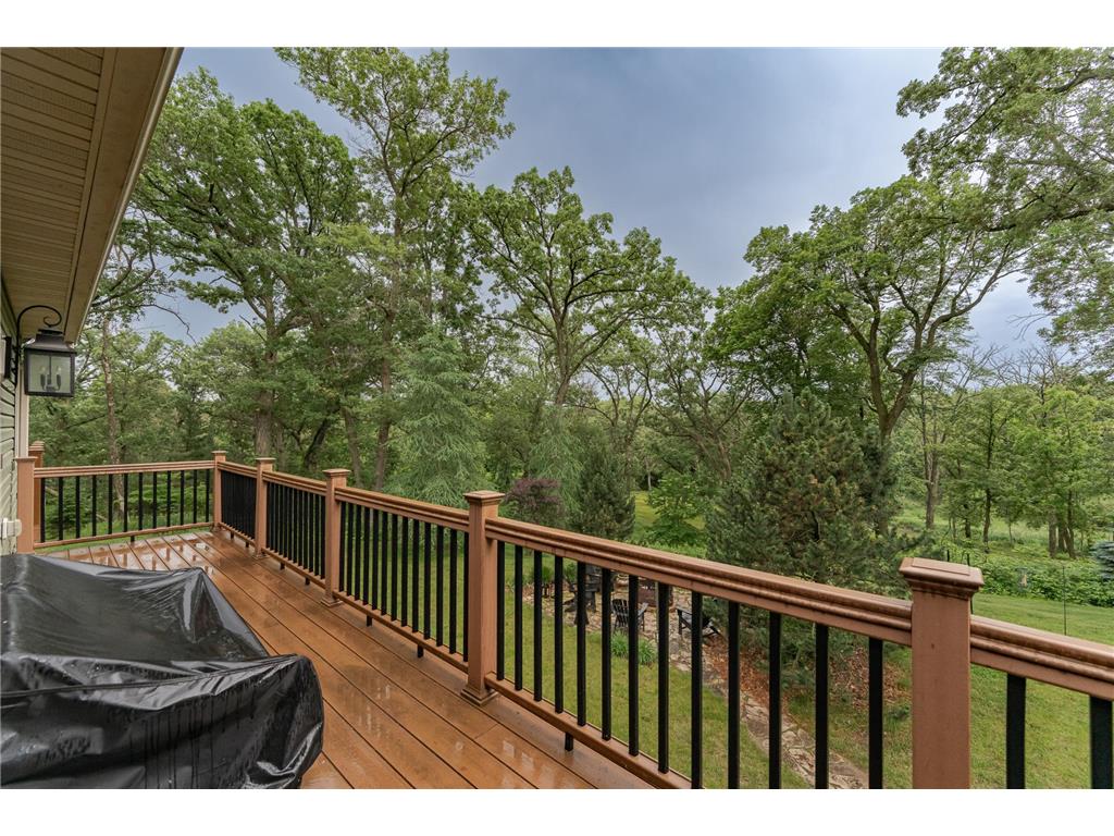 22061 606th Street Mantorville Twp MN 55927 7081065 image9
