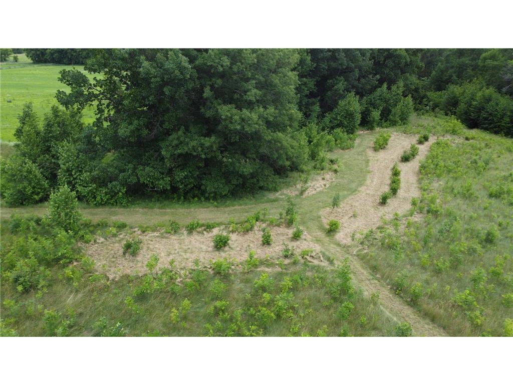 22070 295th Avenue Long Prairie MN 56347 6750380 image44