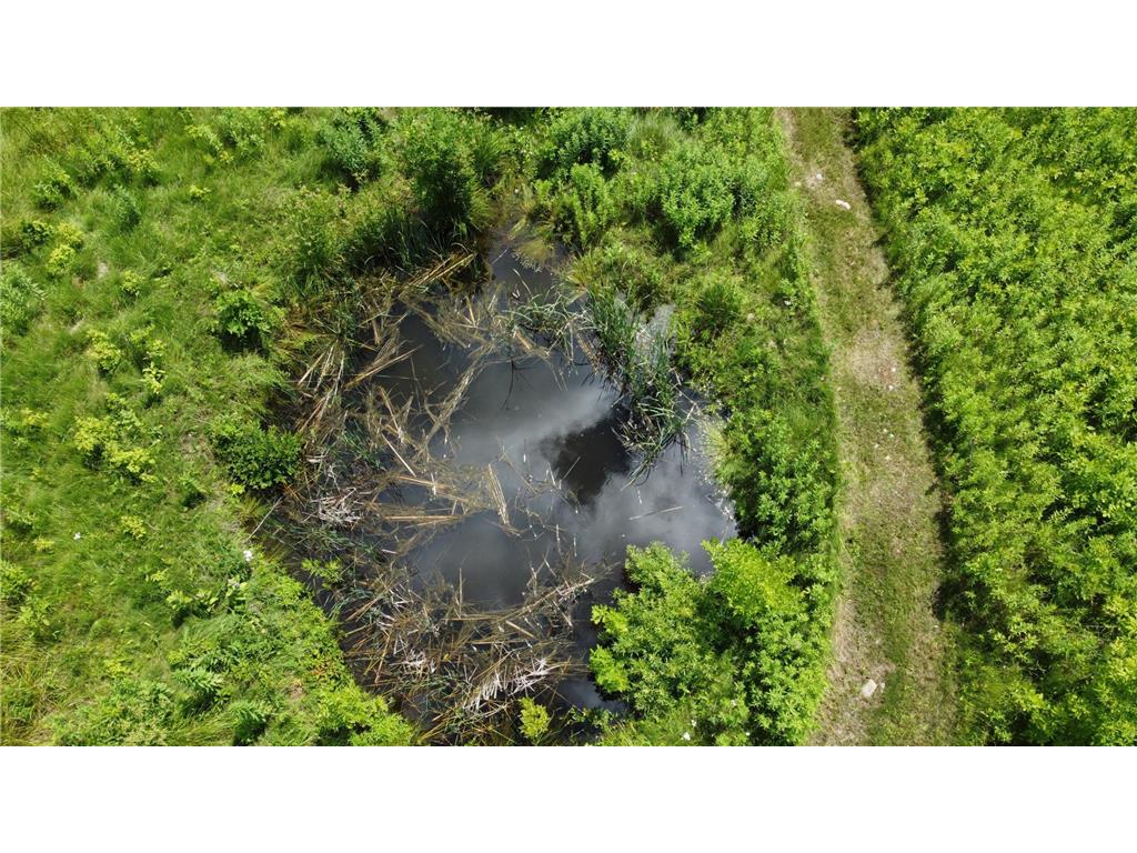 22070 295th Avenue Long Prairie MN 56347 6750380 image47