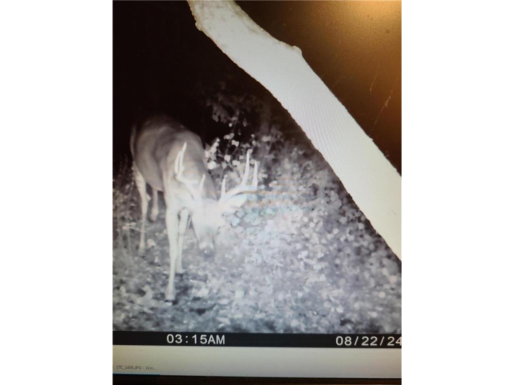 22070 295th Avenue Long Prairie MN 56347 6750380 image61