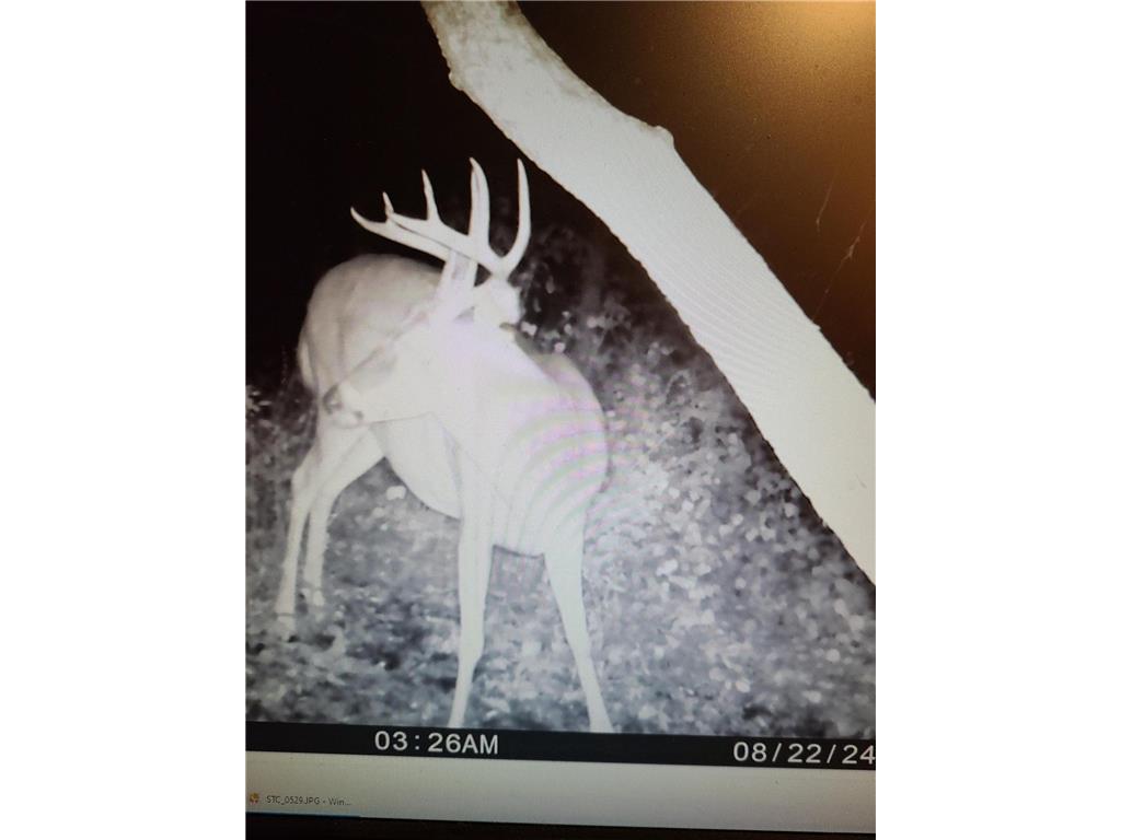 22070 295th Avenue Long Prairie MN 56347 6750380 image62