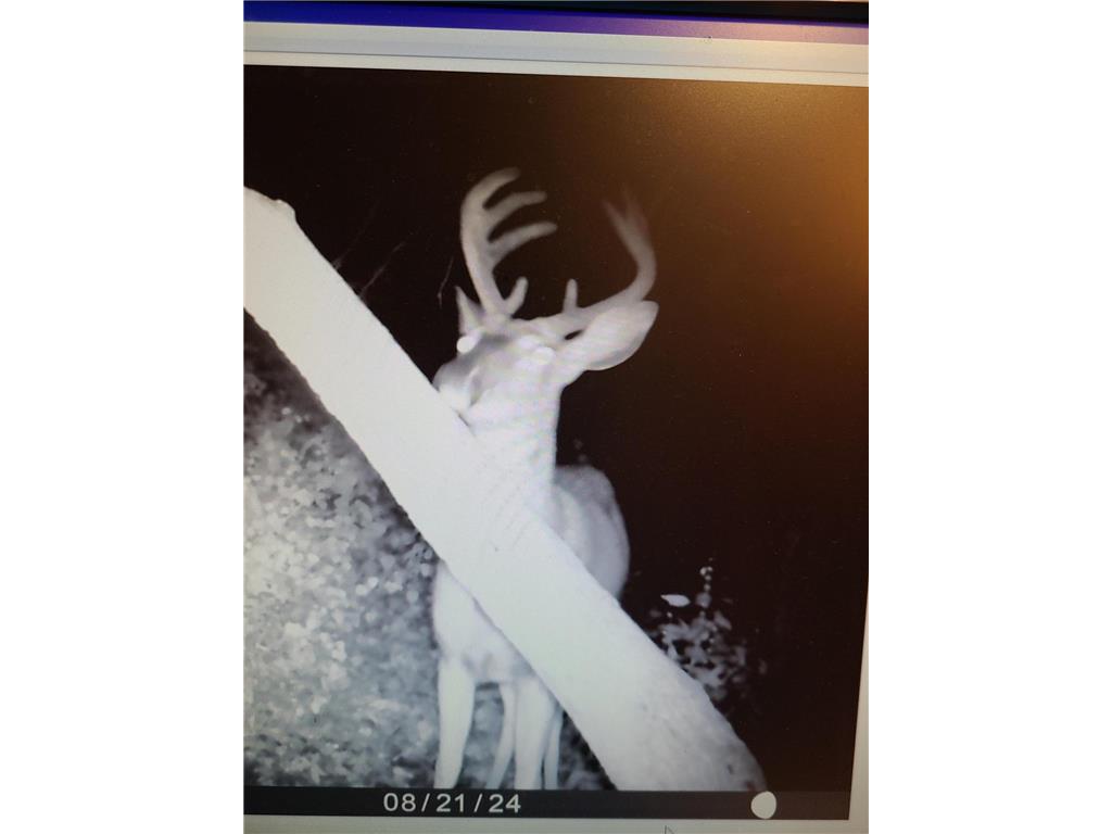 22070 295th Avenue Long Prairie MN 56347 6750380 image63