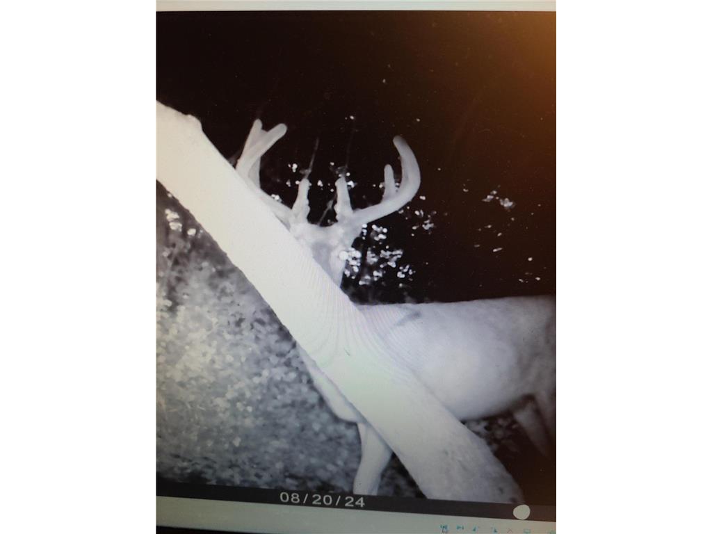 22070 295th Avenue Long Prairie MN 56347 6750380 image64