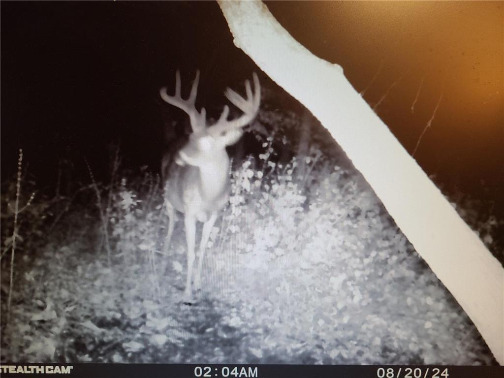 22070 295th Avenue Long Prairie MN 56347 6750380 image65