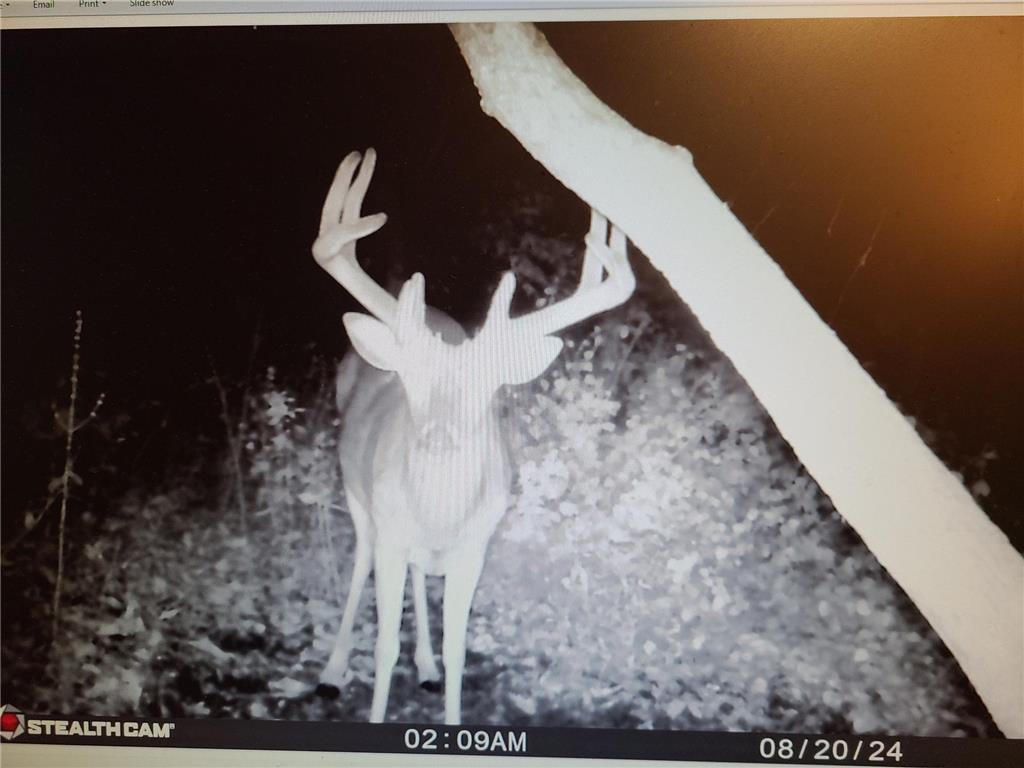 22070 295th Avenue Long Prairie MN 56347 6750380 image66