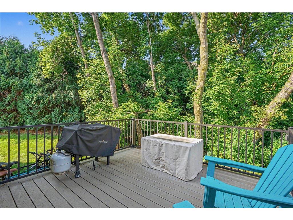 2209 Carter Court Northfield MN 55057 7104778 image22