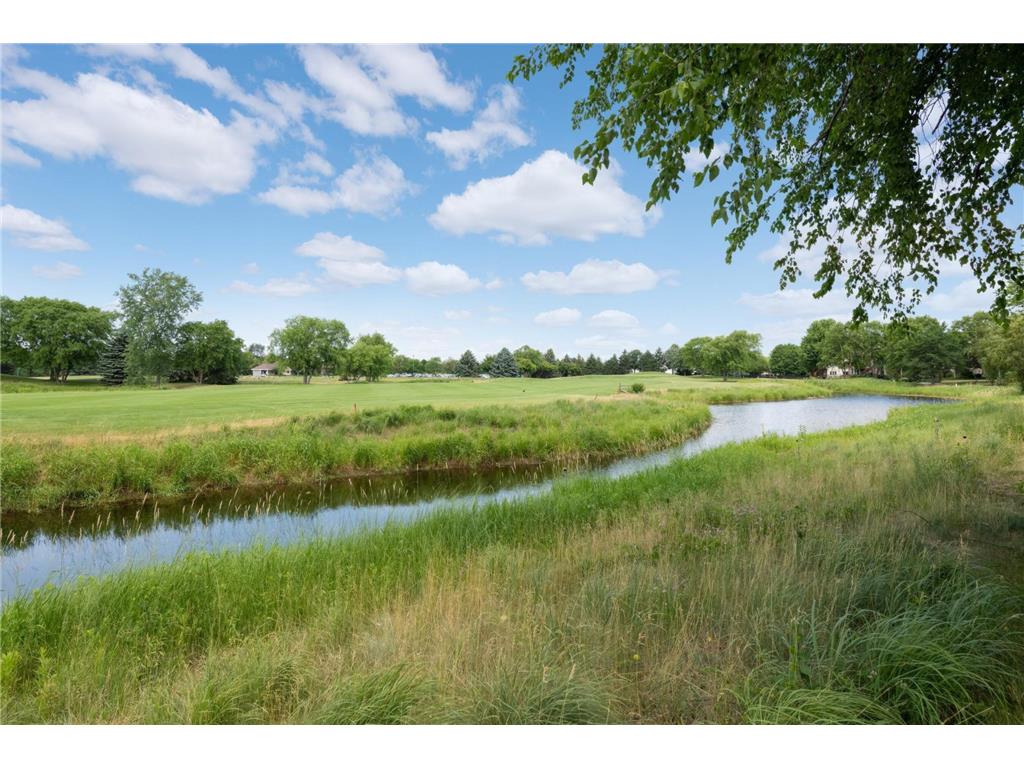 2209 St Johns Place Woodbury MN 55129 7039209 image24