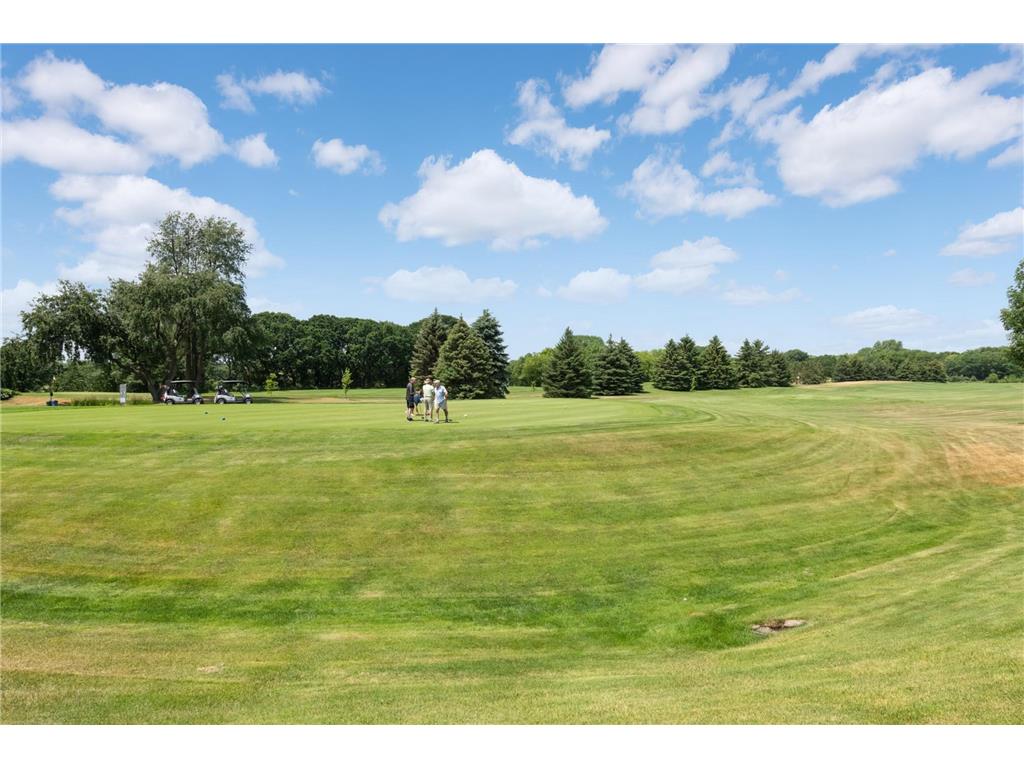 2209 St Johns Place Woodbury MN 55129 7039209 image26