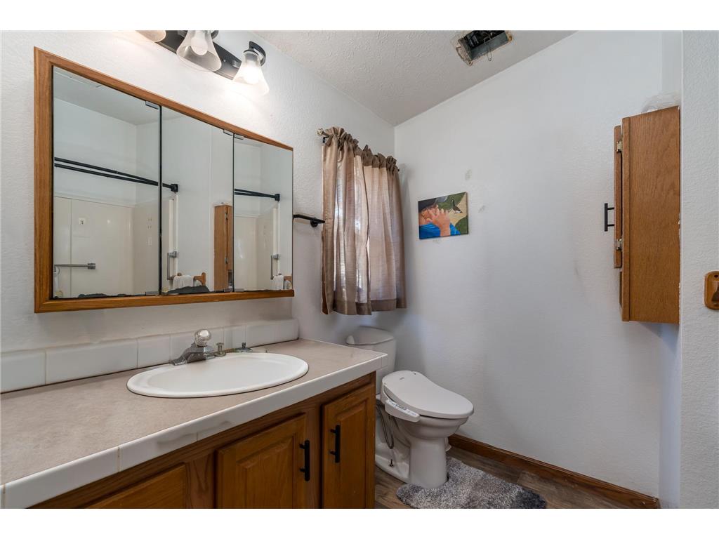 22098 State Highway 60 Le Ray Twp MN 56063 7115384 image16