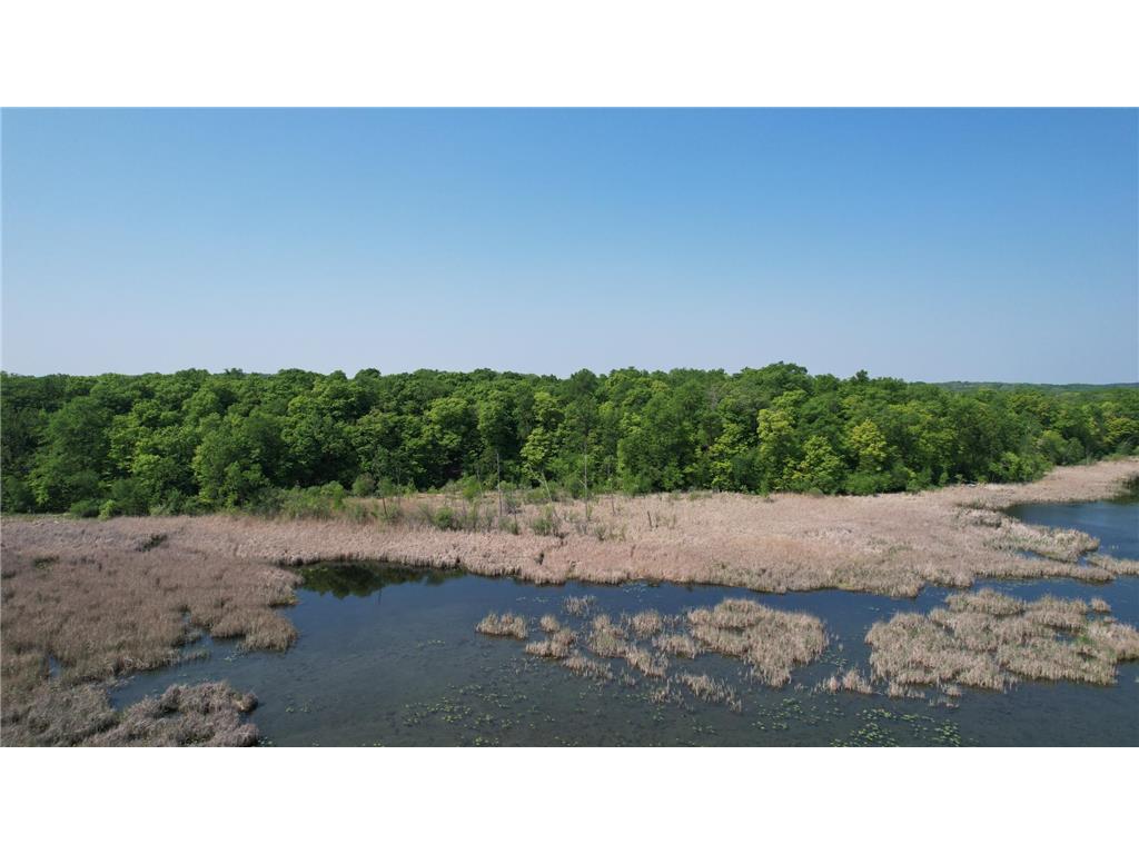 220th 220th Street Girard Twp MN 56524 - East Battle Lake 6728378 image17