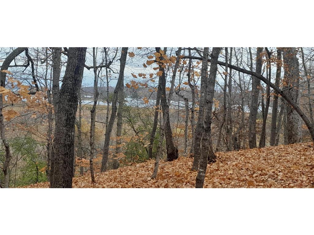 220th 220th Street Girard Twp MN 56524 - East Battle Lake 6728378 image2