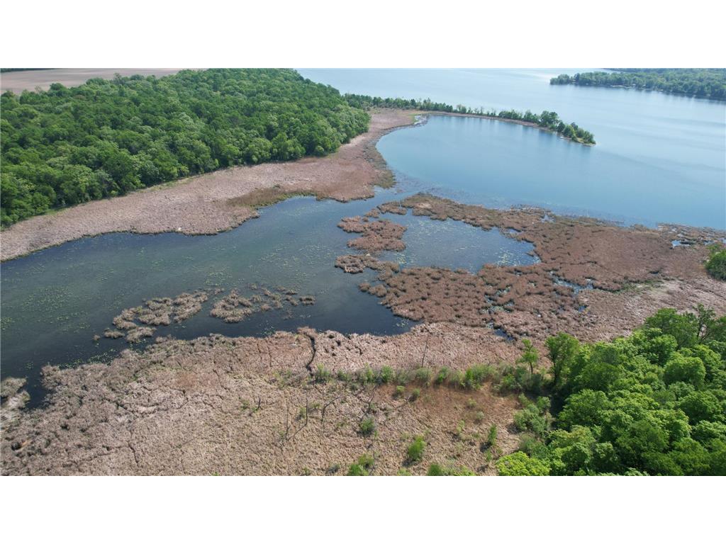 220th 220th Street Girard Twp MN 56524 - East Battle Lake 7007608 image16
