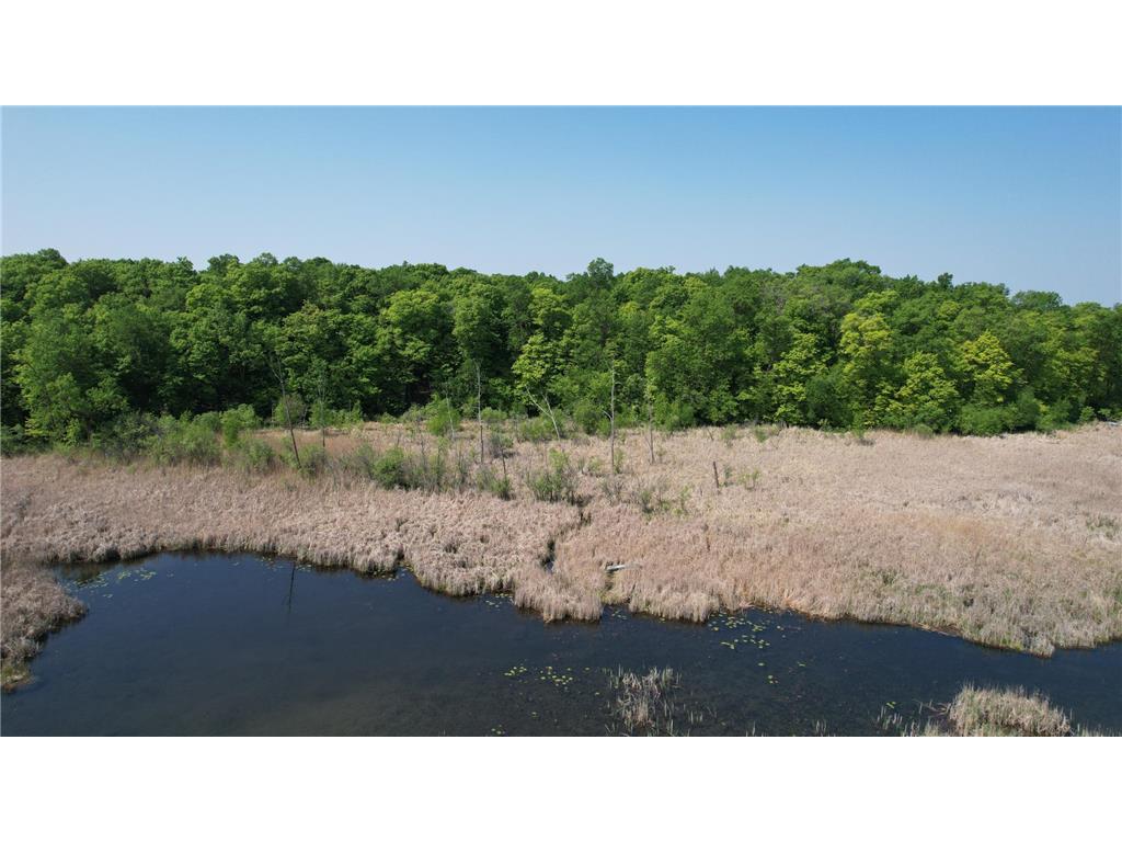 220th 220th Street Girard Twp MN 56524 - East Battle Lake 7007608 image18