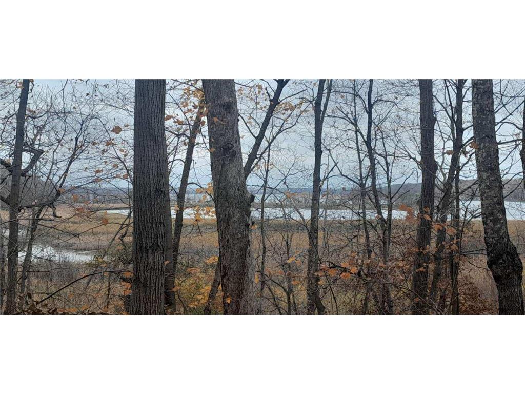 220th 220th Street Girard Twp MN 56524 - East Battle Lake 7007608 image3