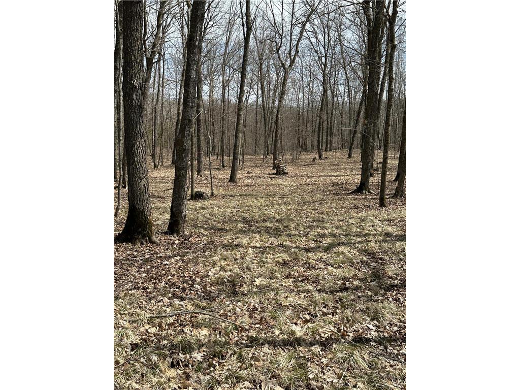 220th St E 220 th St Minerva Twp MN 56621 7080688 image10
