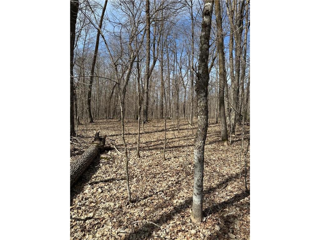 220th St E 220 th St Minerva Twp MN 56621 7080688 image12