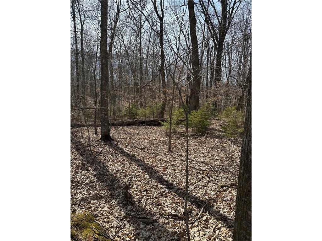 220th St E 220 th St Minerva Twp MN 56621 7080688 image13