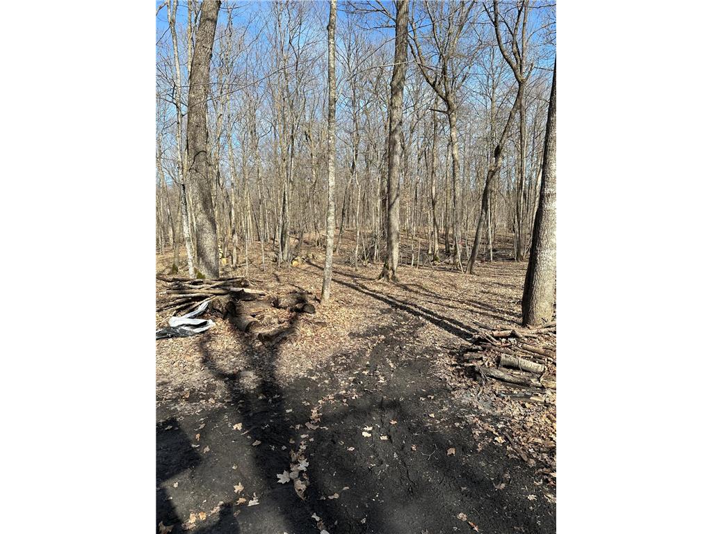 220th St E 220 th St Minerva Twp MN 56621 7080688 image14