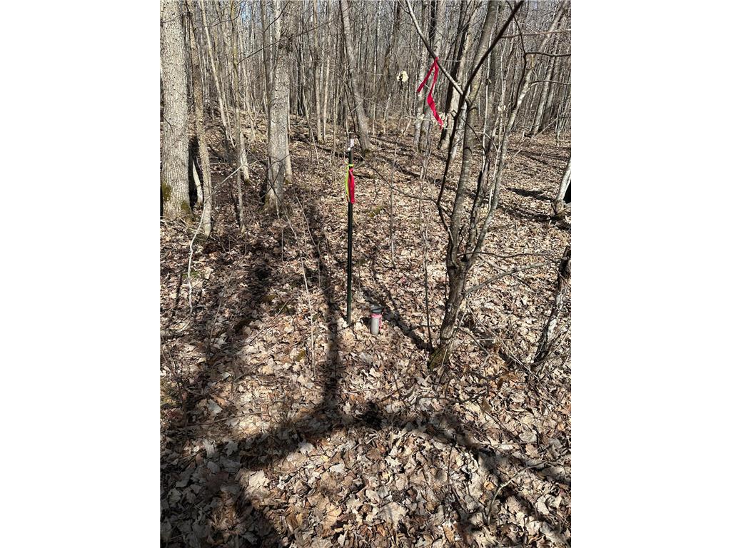 220th St E 220 th St Minerva Twp MN 56621 7080688 image15