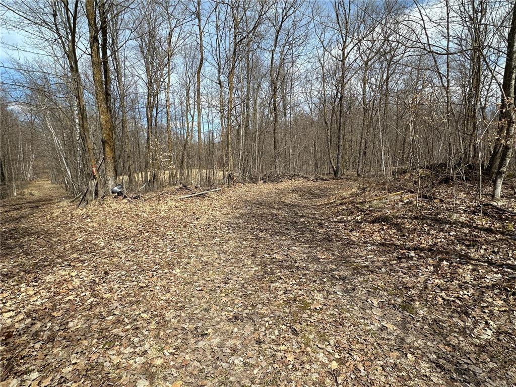 220th St E 220 th St Minerva Twp MN 56621 7080688 image2