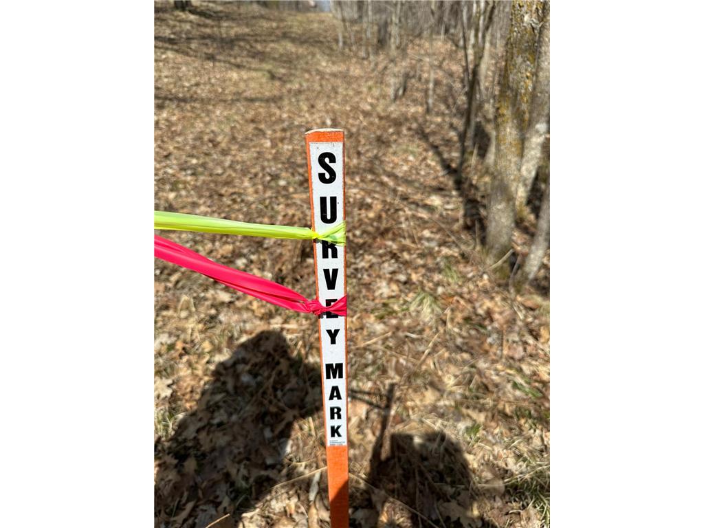 220th St E 220 th St Minerva Twp MN 56621 7080688 image3