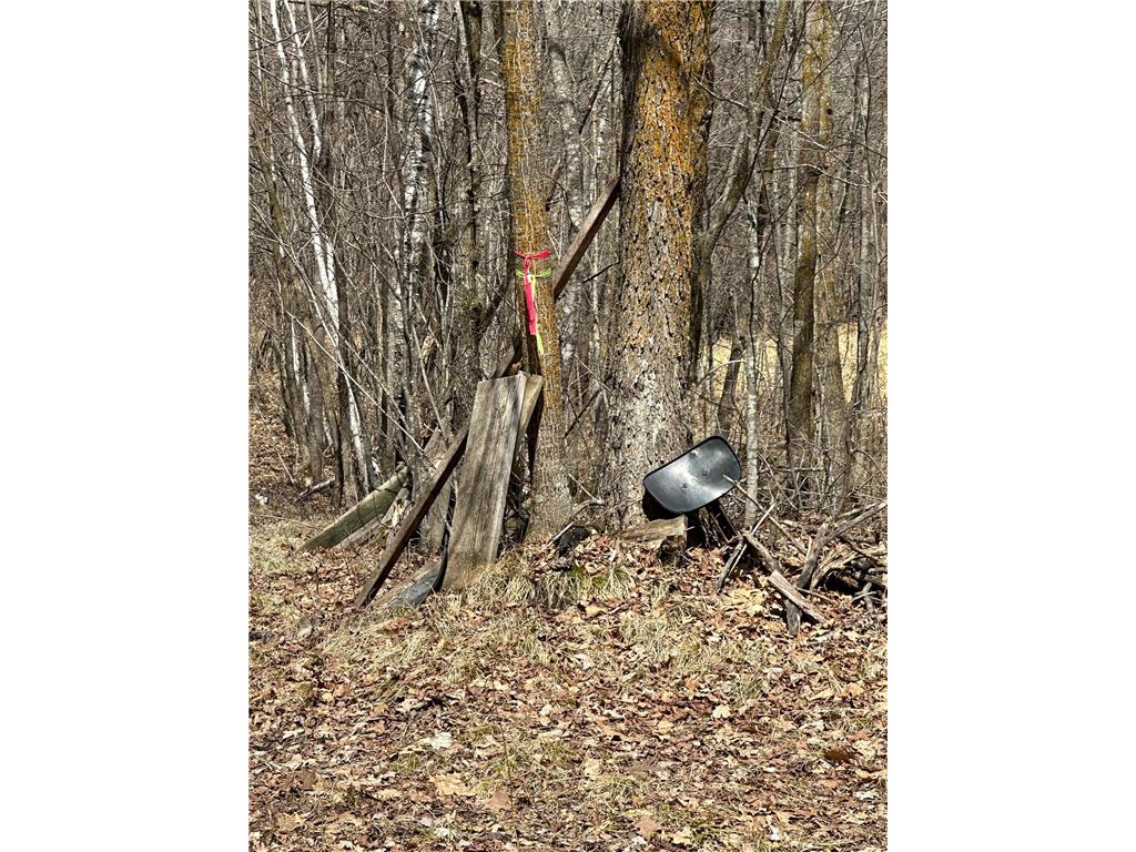 220th St E 220 th St Minerva Twp MN 56621 7080688 image6