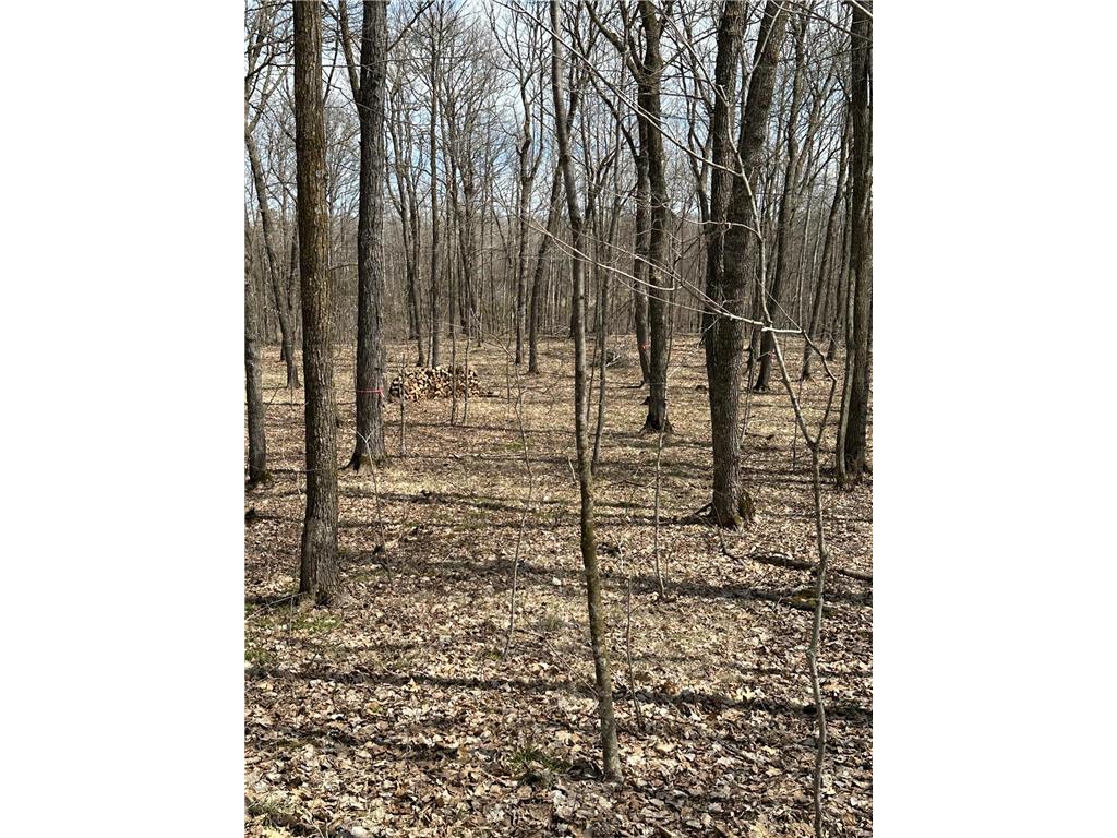 220th St E 220 th St Minerva Twp MN 56621 7080688 image9