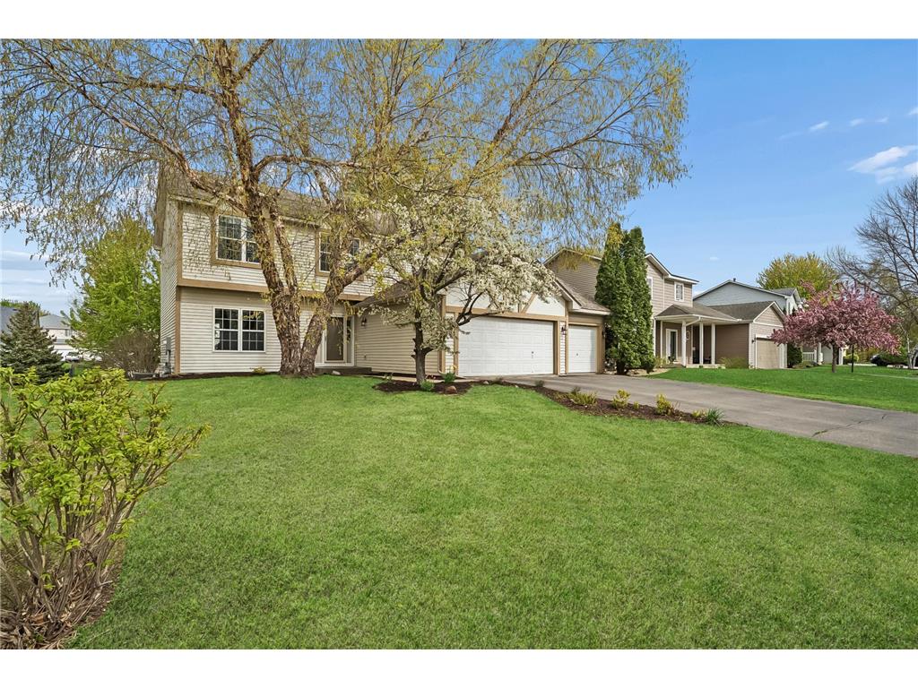 221 Butternut Circle Carver MN 55315 7071952 image3