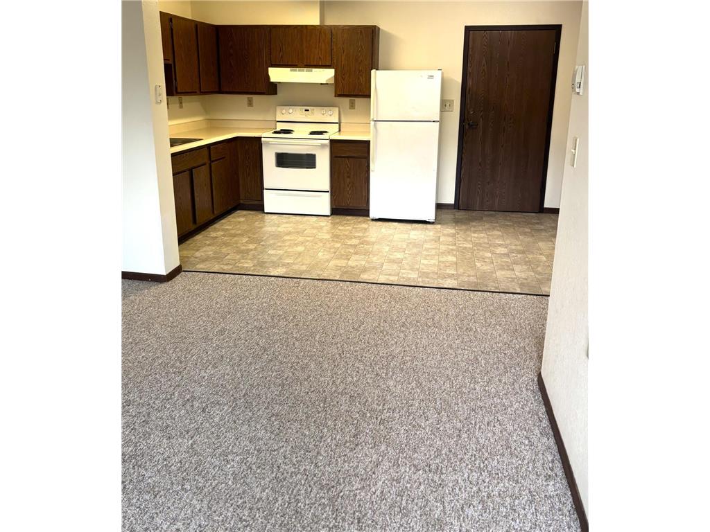 221 E Cavour Avenue Fergus Falls MN 56537 6427087 image4