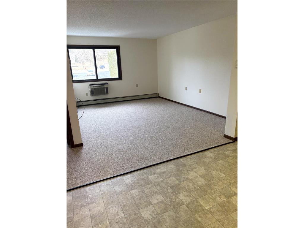221 E Cavour Avenue Fergus Falls MN 56537 7082243 image7
