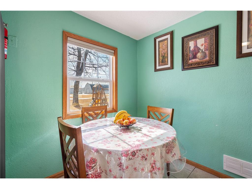 221 E Park Street Owatonna MN 55060 6825403 image12