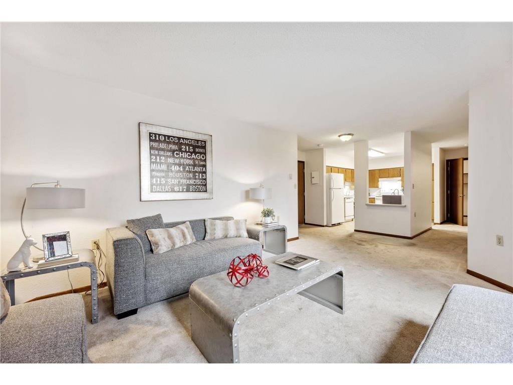 221 Grand Avenue W #108 South Saint Paul MN 55075 6430338 image1