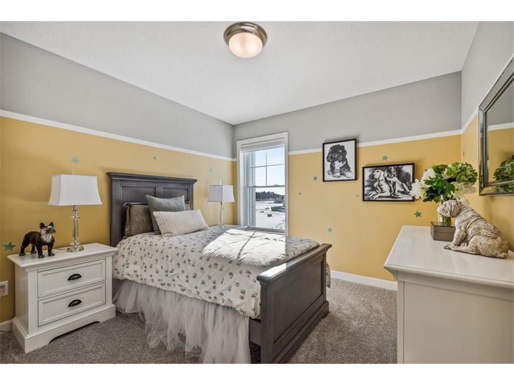 221 Huntington Drive Waconia MN 55387 7029911 image11