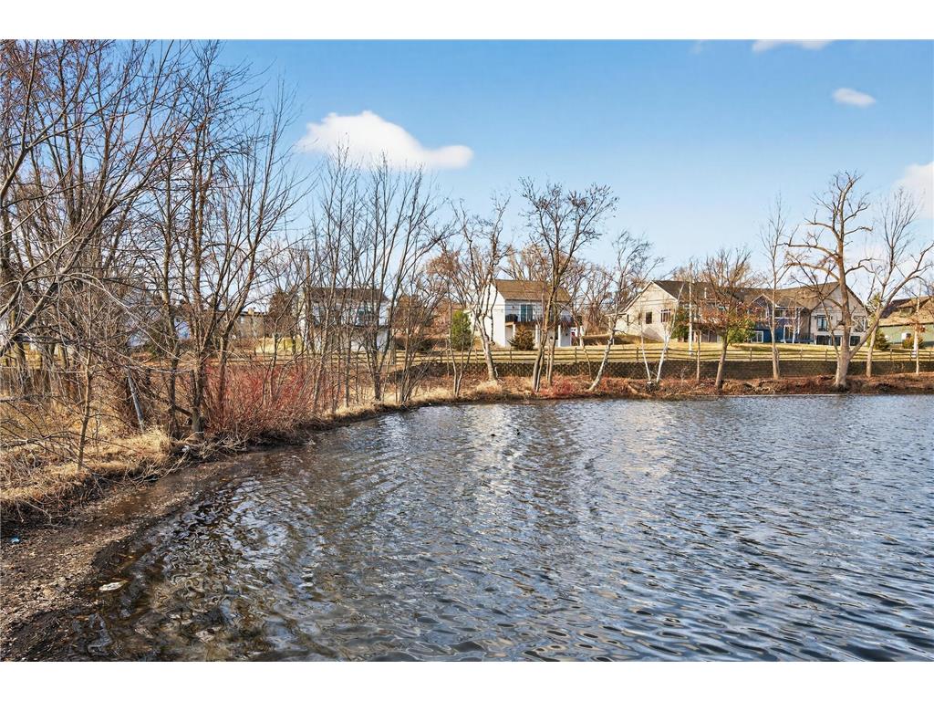 221 McCarrons Place W Roseville MN 55113 - McCarron 7045541 image15