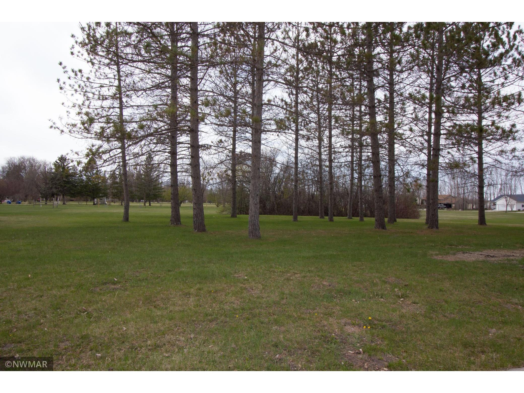 221 Sherwood Avenue N Thief River Falls MN 56701 6138378 image1