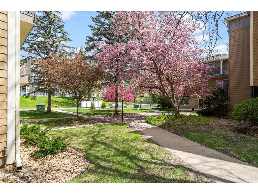 2210 Ridge Drive #31 Saint Louis Park MN 55416 7071502 image19