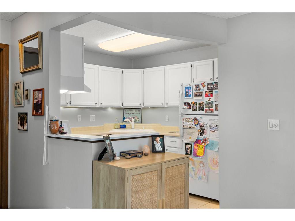 2210 Ridge Drive #31 Saint Louis Park MN 55416 7071502 image9