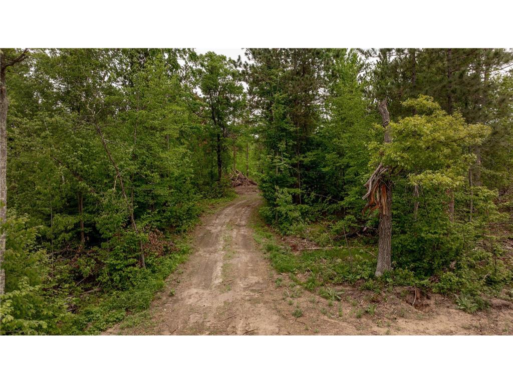22132 Buckhorn Trail Center Twp MN 56465 7080486 image10