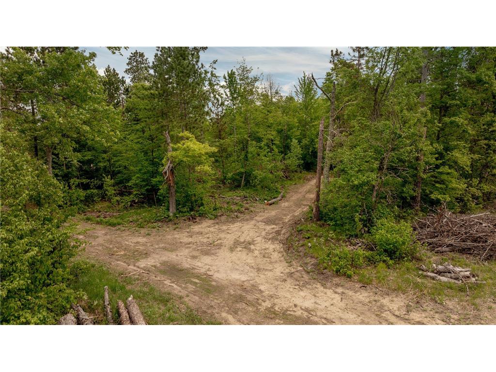 22132 Buckhorn Trail Center Twp MN 56465 7080486 image8