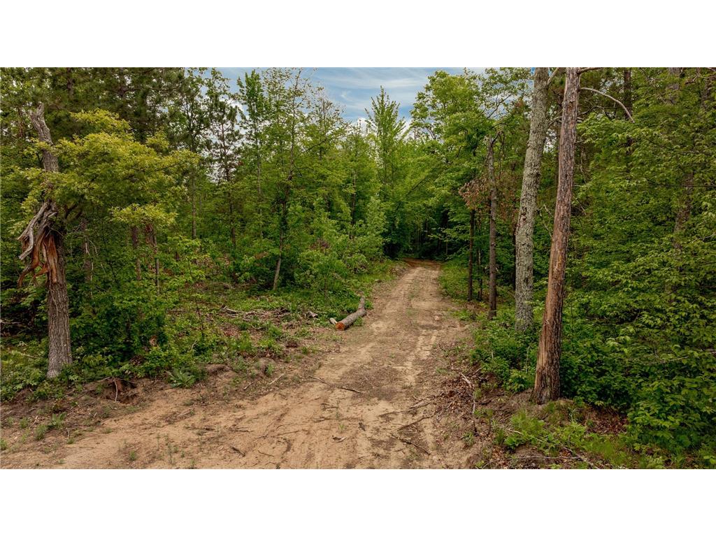 22132 Buckhorn Trail Center Twp MN 56465 7080486 image9