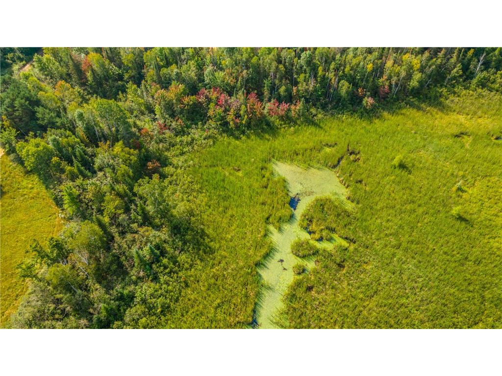 22148 126th Place Millward North Twp MN 56350 6513588 image10