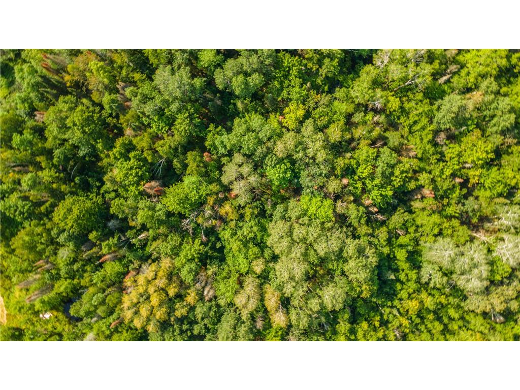 22148 126th Place Millward North Twp MN 56350 6513588 image11